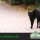 Freitag der Dreizehnte